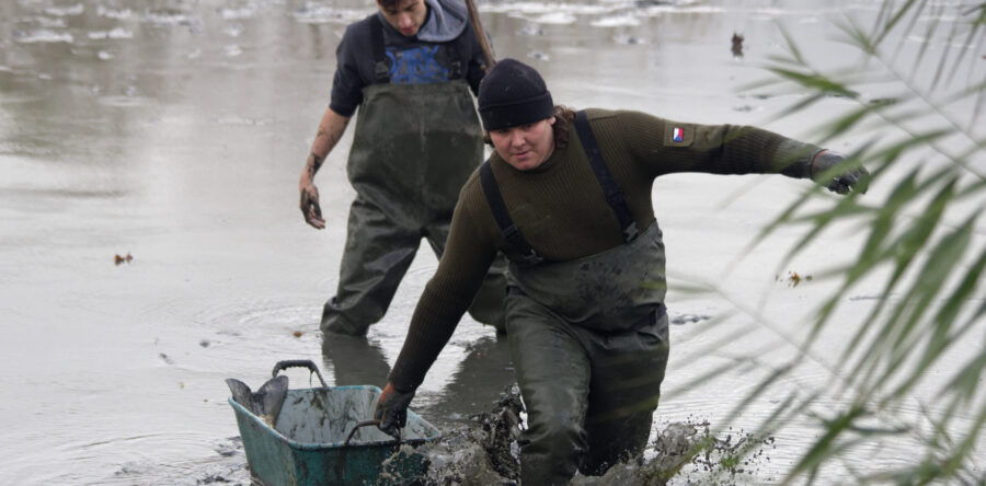 Výlov Řídeč (04.11.2023)