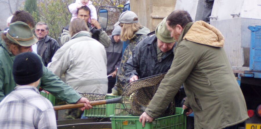 Výlov Řídeč 2005