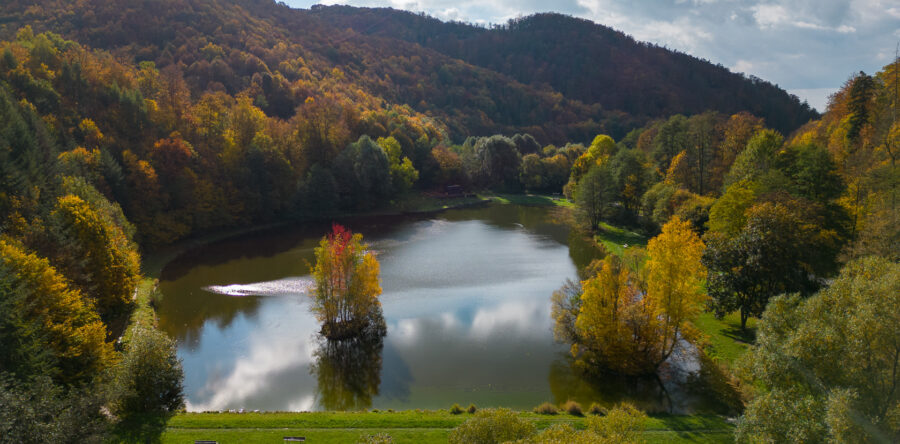 Rybník Dolní Žleb 471182