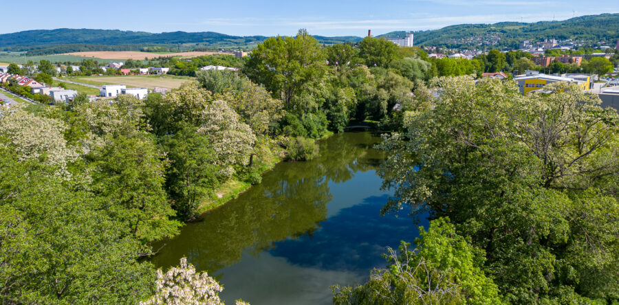 Rybník Delta – 471104 podrevír 2.