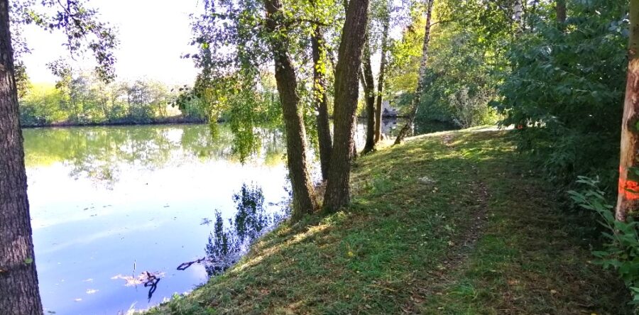 Rybník Paseka 471104 podrevír č.4