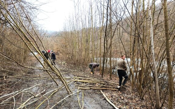 Brigáda Dolní Žleb (14.02.2026)