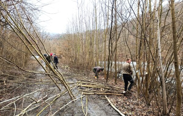 Brigáda Dolní Žleb (14.02.2026)