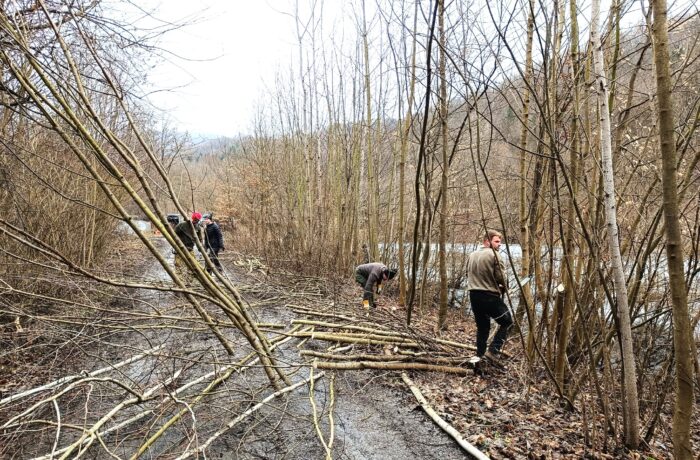 Brigáda Dolní Žleb (14.02.2026)