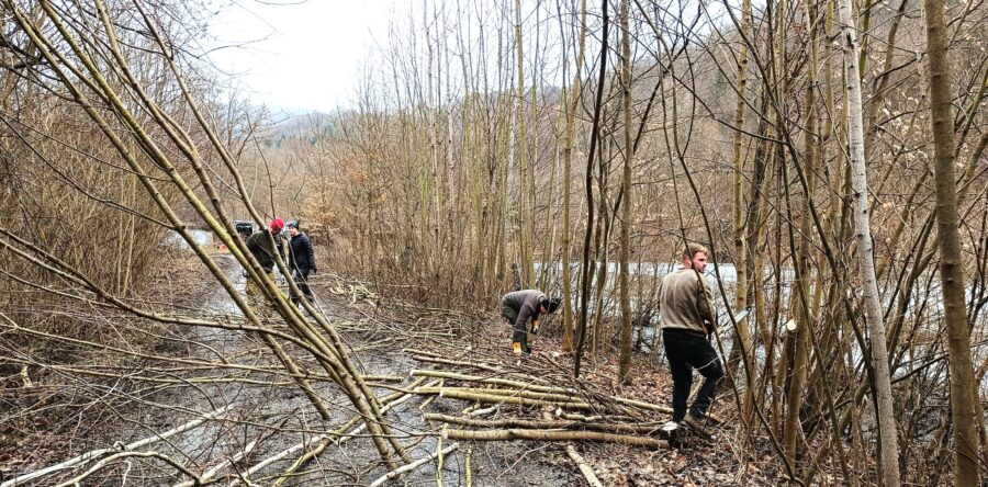 Brigáda Dolní Žleb (14.02.2026)